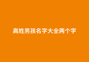 高姓男孩名字大全两个字
