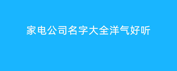 家电公司名字大全洋气好听