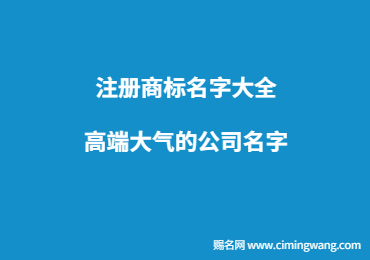 注册商标名字大全 高端大气的公司名字