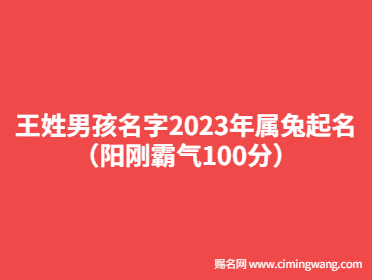 王姓男孩名字2023年属兔起名（阳刚霸气100分）