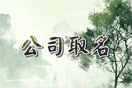 龙宝宝起名字起什么字好男孩取名（精选500个）
