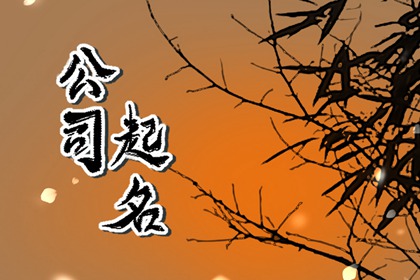 2024年龙宝宝名字男有格局（精选500个）