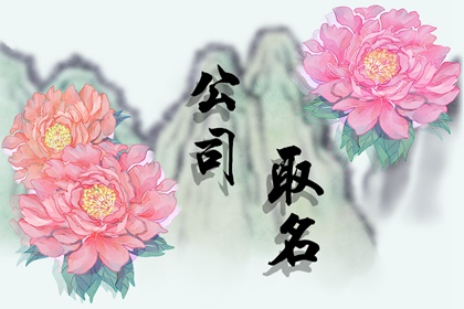 适合软件开发的公司（精选500个）